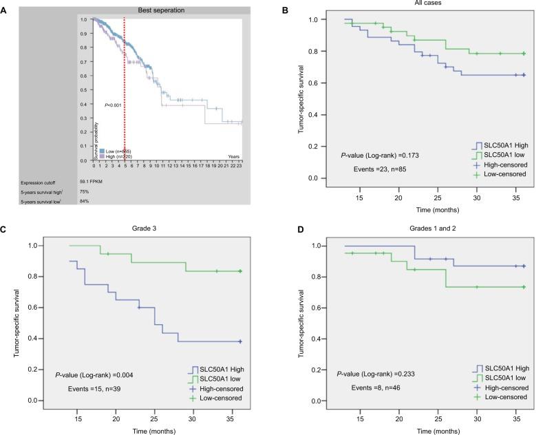 https://cdn.ncbi.nlm.nih.gov/pmc/blobs/6fbd/6340503/f5c7d3eaf921/cmar-11-865Fig4.jpg