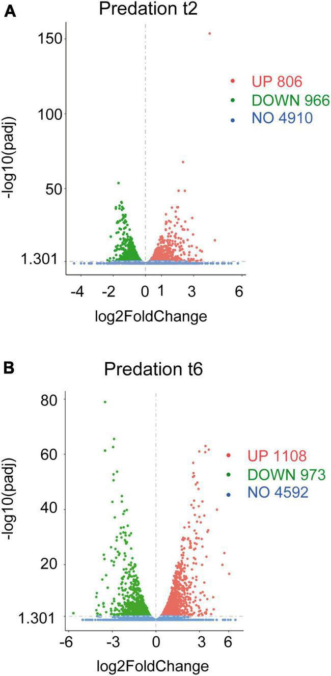 https://cdn.ncbi.nlm.nih.gov/pmc/blobs/6fbf/10315480/8eec99fc55a7/fmicb-14-1213659-g001.jpg