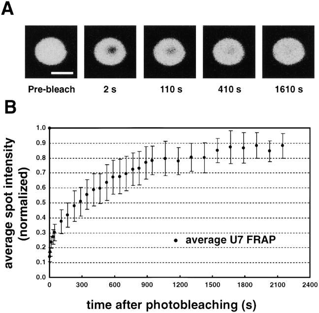 https://cdn.ncbi.nlm.nih.gov/pmc/blobs/6fbf/2173734/1192fad38e8d/200212024f8.jpg