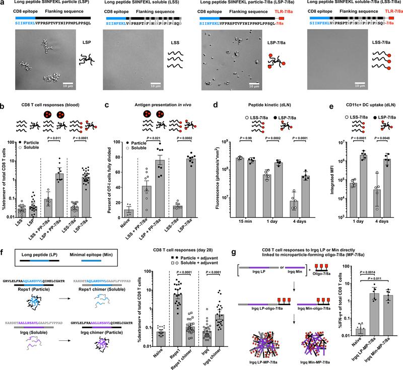 https://cdn.ncbi.nlm.nih.gov/pmc/blobs/6fbf/7065950/80210baa0a11/nihms-1546231-f0001.jpg