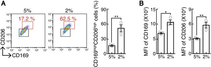 https://cdn.ncbi.nlm.nih.gov/pmc/blobs/6fbf/8913795/249ce017b1c7/41598_2022_7521_Fig4_HTML.jpg