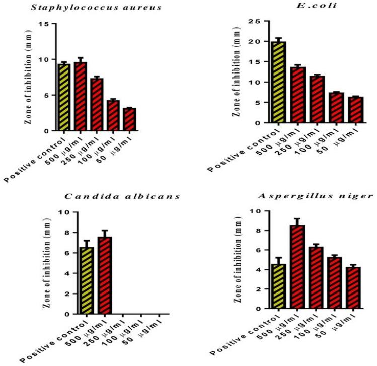 https://cdn.ncbi.nlm.nih.gov/pmc/blobs/6fbf/9469822/46e5ec6d2385/13204_2022_2610_Fig7_HTML.jpg