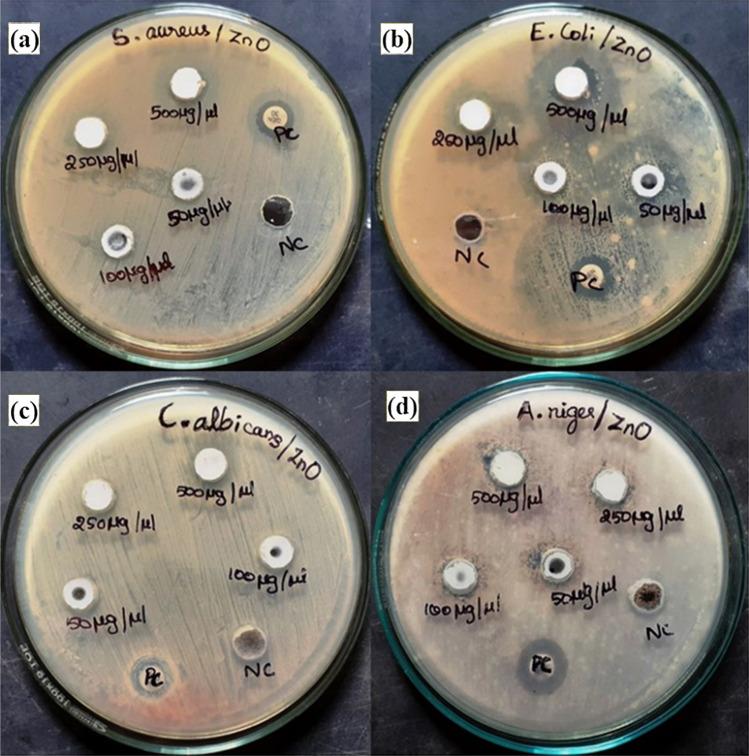 https://cdn.ncbi.nlm.nih.gov/pmc/blobs/6fbf/9469822/69e2f82a30ef/13204_2022_2610_Fig6_HTML.jpg
