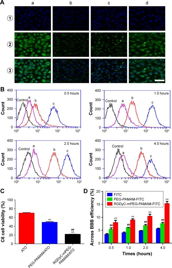 https://cdn.ncbi.nlm.nih.gov/pmc/blobs/6fc0/6173183/4f9a097179ad/ijn-13-5937Fig3.jpg