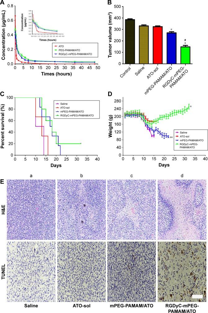 https://cdn.ncbi.nlm.nih.gov/pmc/blobs/6fc0/6173183/c6c829ec6796/ijn-13-5937Fig5.jpg