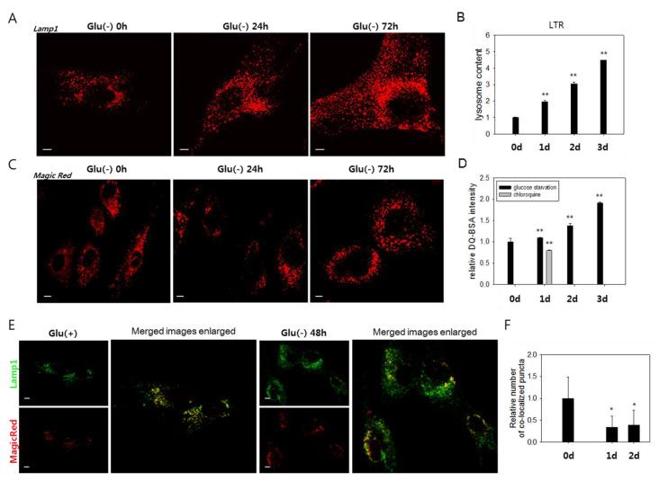 https://cdn.ncbi.nlm.nih.gov/pmc/blobs/6fc0/7277562/5032770a6675/biomolecules-10-00761-g002.jpg
