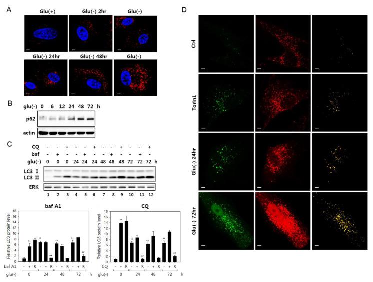 https://cdn.ncbi.nlm.nih.gov/pmc/blobs/6fc0/7277562/8414cc2a67de/biomolecules-10-00761-g001.jpg