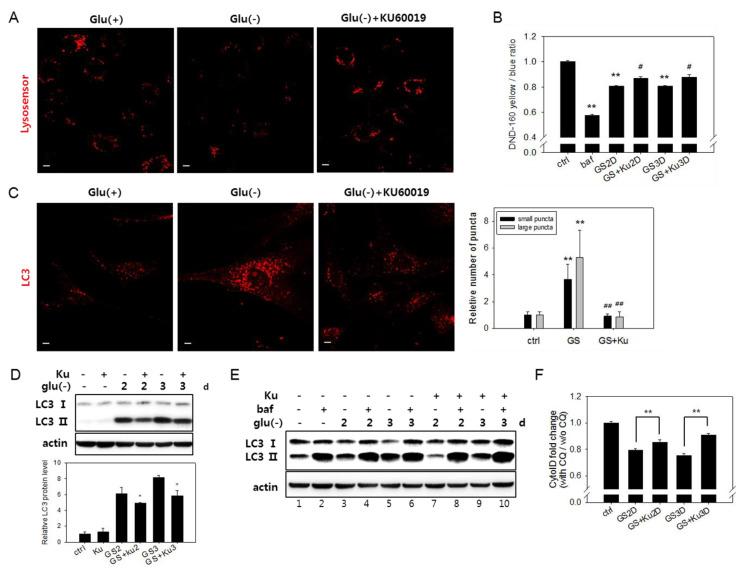 https://cdn.ncbi.nlm.nih.gov/pmc/blobs/6fc0/7277562/aa656e6717f9/biomolecules-10-00761-g005.jpg