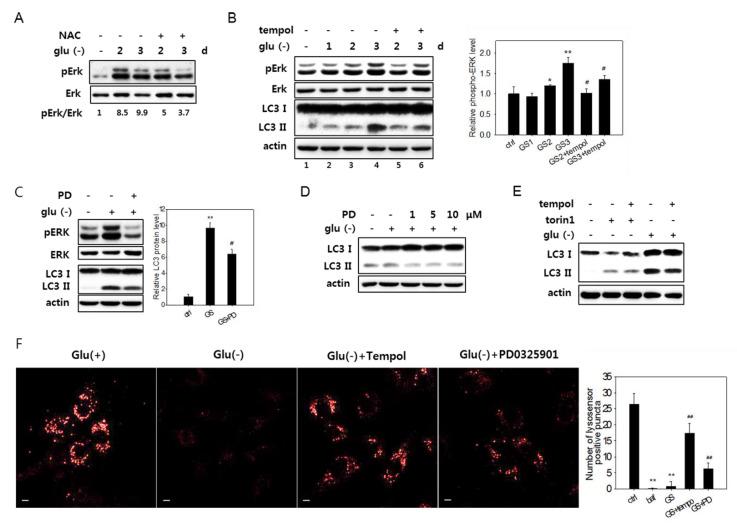https://cdn.ncbi.nlm.nih.gov/pmc/blobs/6fc0/7277562/db2e52e89521/biomolecules-10-00761-g006.jpg