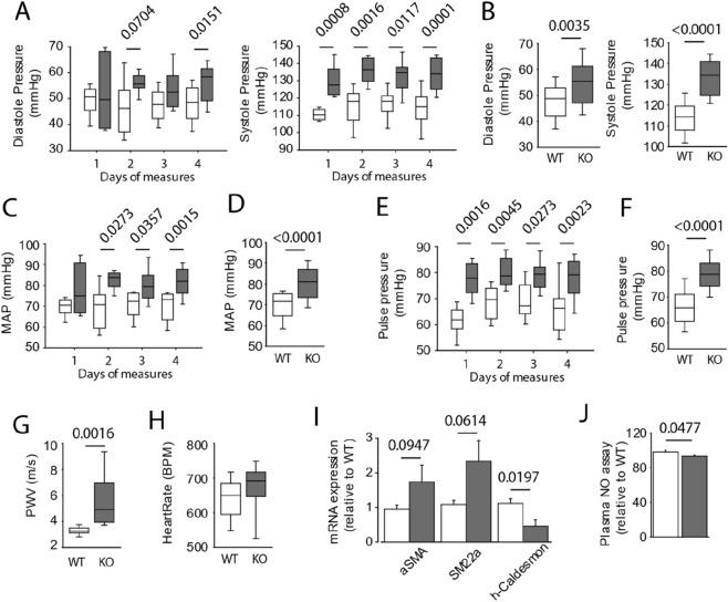 https://cdn.ncbi.nlm.nih.gov/pmc/blobs/6fc1/8593139/65b3ecf813db/41598_2021_1735_Fig1_HTML.jpg