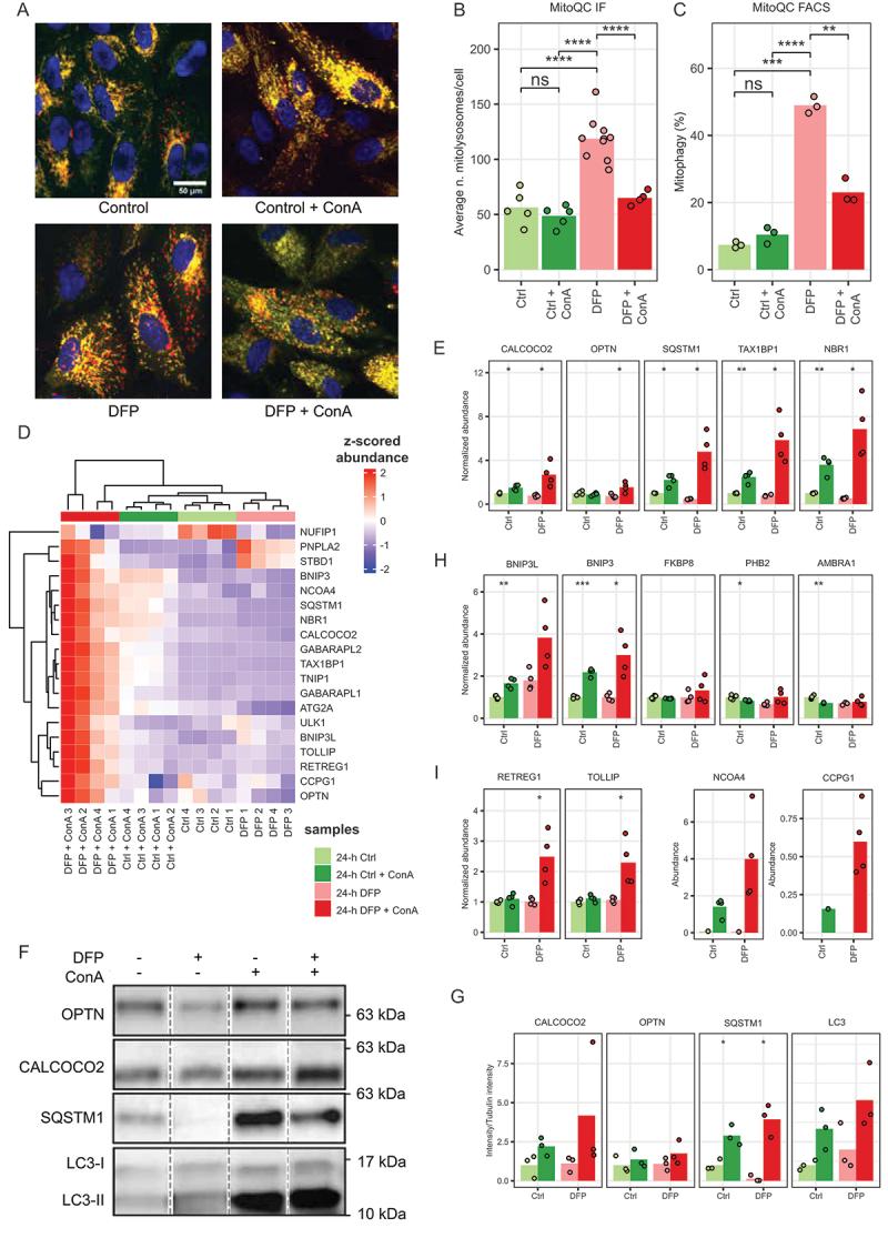 https://cdn.ncbi.nlm.nih.gov/pmc/blobs/6fc3/11759517/bfaf4ea42258/KAUP_A_2396792_F0006_C.jpg