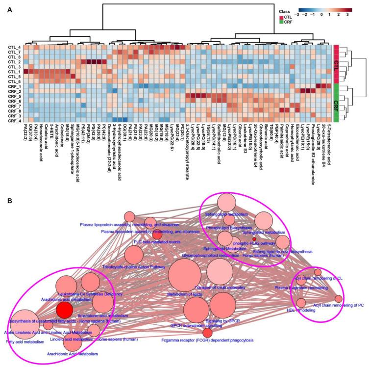 https://cdn.ncbi.nlm.nih.gov/pmc/blobs/6fc6/7926759/911ed4b7cbae/metabolites-11-00127-g002.jpg