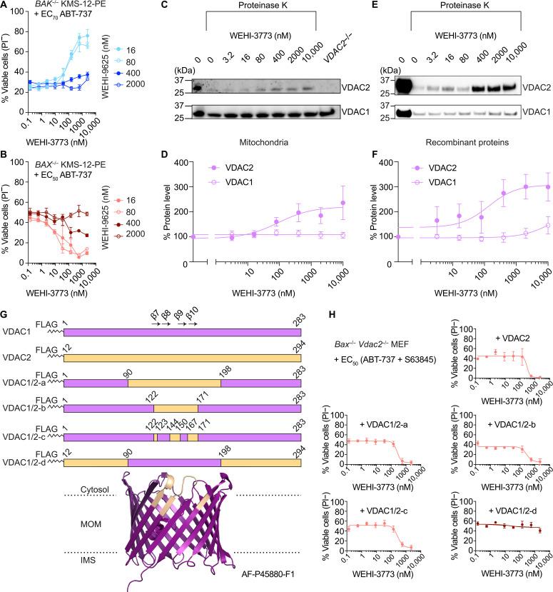 https://cdn.ncbi.nlm.nih.gov/pmc/blobs/6fc7/11881913/6694cc983129/sciadv.adr8146-f5.jpg