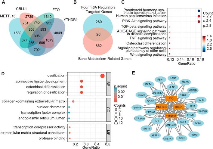 https://cdn.ncbi.nlm.nih.gov/pmc/blobs/6fc7/9852729/177de2d74438/fgene-13-1072948-g008.jpg