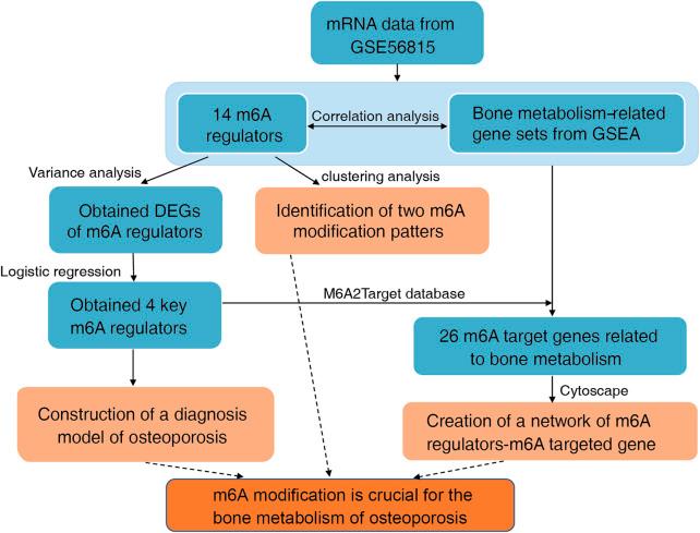 https://cdn.ncbi.nlm.nih.gov/pmc/blobs/6fc7/9852729/1d25aceeb767/fgene-13-1072948-g001.jpg