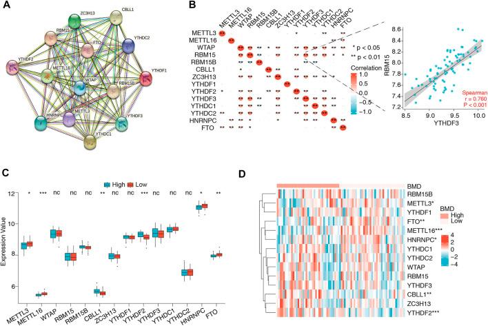https://cdn.ncbi.nlm.nih.gov/pmc/blobs/6fc7/9852729/e83c78d86b29/fgene-13-1072948-g003.jpg