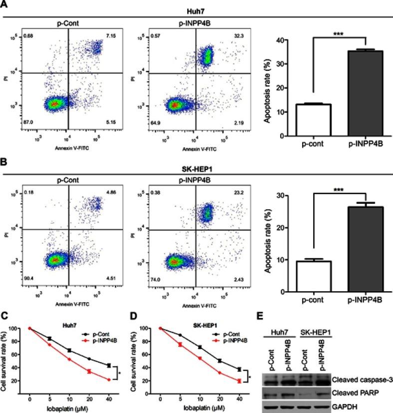 https://cdn.ncbi.nlm.nih.gov/pmc/blobs/6fca/6511246/e09b49aff1f3/OTT-12-3491-g0004.jpg