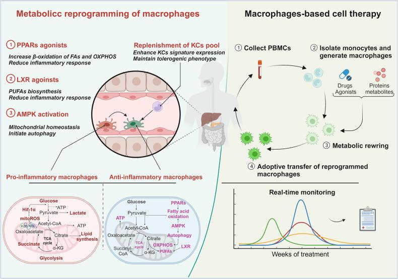 https://cdn.ncbi.nlm.nih.gov/pmc/blobs/6fcb/10465526/41427d578055/41419_2023_6066_Fig3_HTML.jpg