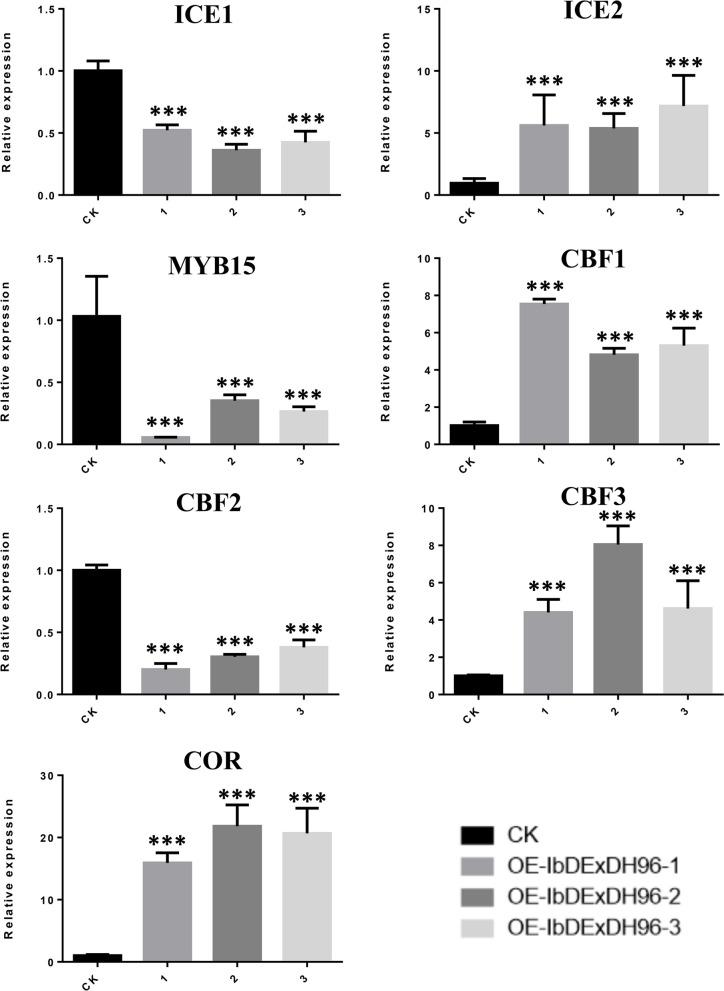 https://cdn.ncbi.nlm.nih.gov/pmc/blobs/6fcb/10944623/8b04b03a01a4/12870_2024_4824_Fig16_HTML.jpg