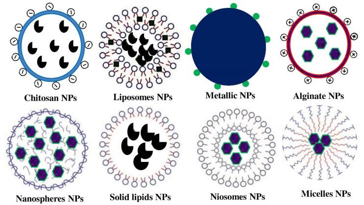 https://cdn.ncbi.nlm.nih.gov/pmc/blobs/6fcd/9810454/0c149e81a637/bt-31-1-16-f3.jpg