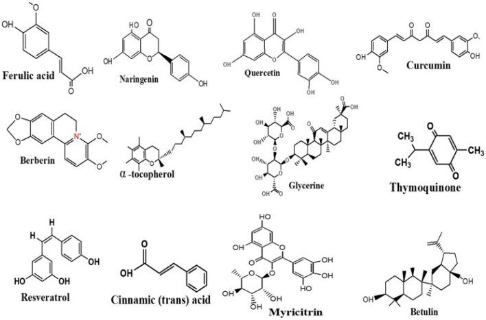 https://cdn.ncbi.nlm.nih.gov/pmc/blobs/6fcd/9810454/f86f5efb770b/bt-31-1-16-f4.jpg