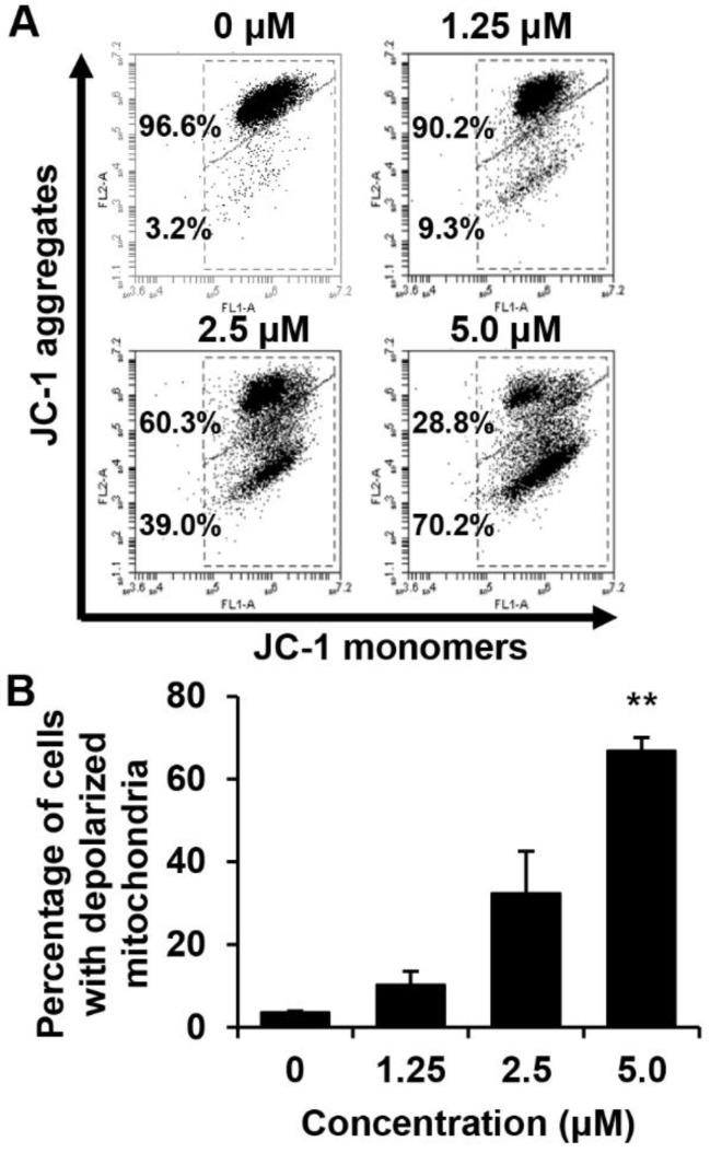https://cdn.ncbi.nlm.nih.gov/pmc/blobs/6fce/6337620/aeffd141a393/molecules-24-00096-g006.jpg