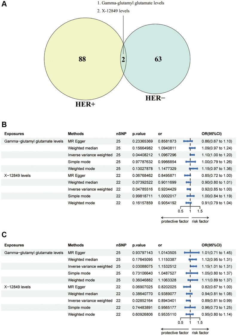 https://cdn.ncbi.nlm.nih.gov/pmc/blobs/6fd1/11346783/cef00dfe1ff7/aging-16-206042-g004.jpg