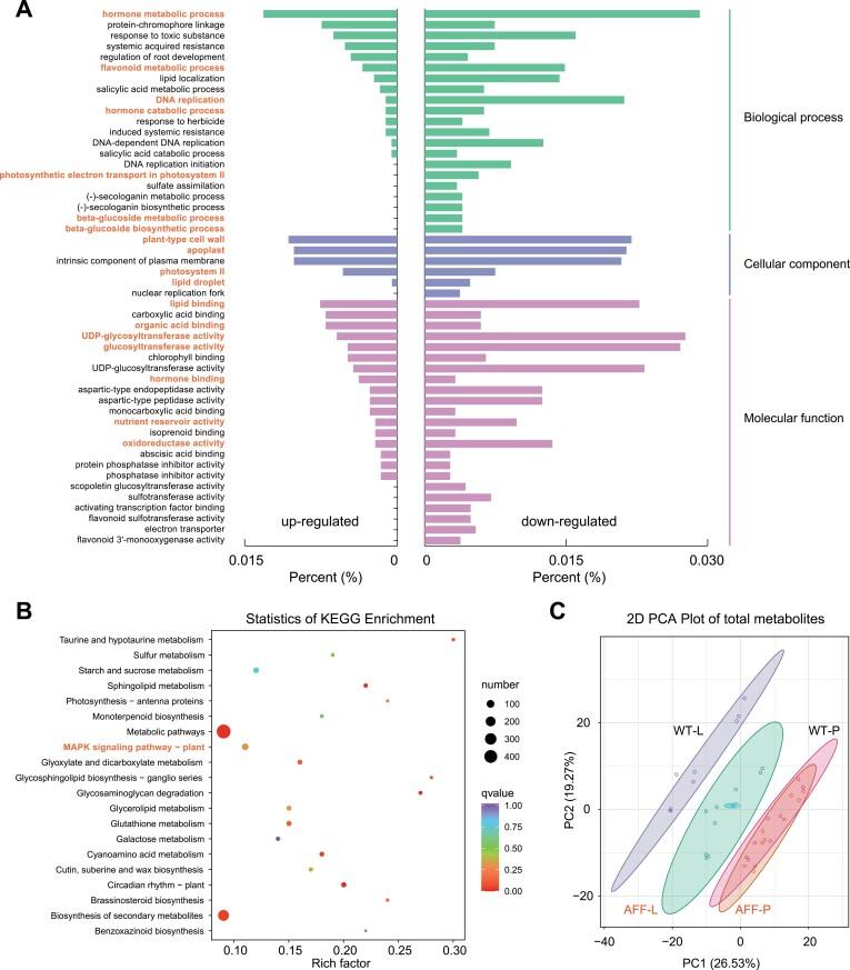 https://cdn.ncbi.nlm.nih.gov/pmc/blobs/6fd1/8730696/72ff5a2ff9d5/erab401_fig7.jpg
