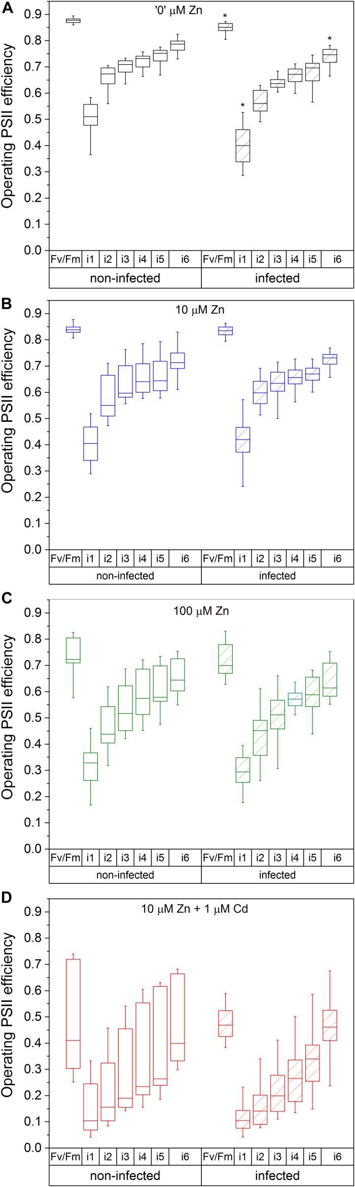 https://cdn.ncbi.nlm.nih.gov/pmc/blobs/6fd2/7290001/f0e68eff1a07/fpls-11-00739-g002.jpg