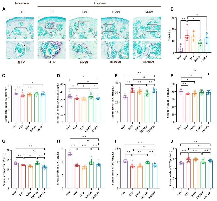 https://cdn.ncbi.nlm.nih.gov/pmc/blobs/6fd3/11944587/a15499b9bc3a/nutrients-17-00998-g002.jpg