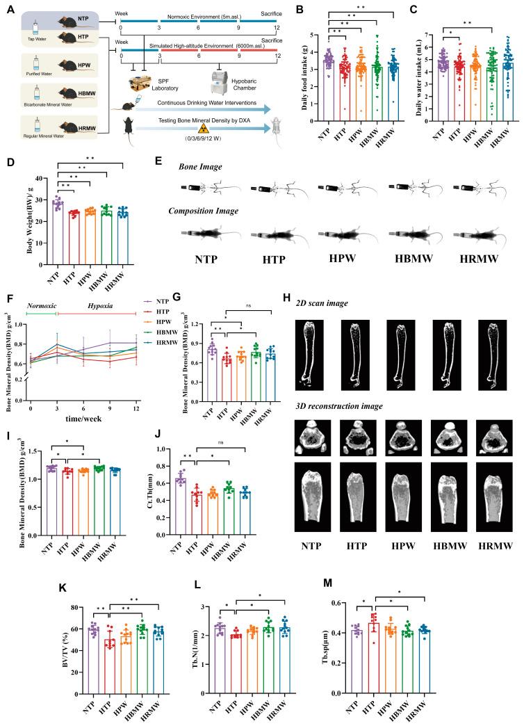 https://cdn.ncbi.nlm.nih.gov/pmc/blobs/6fd3/11944587/ae24d3aad194/nutrients-17-00998-g001.jpg