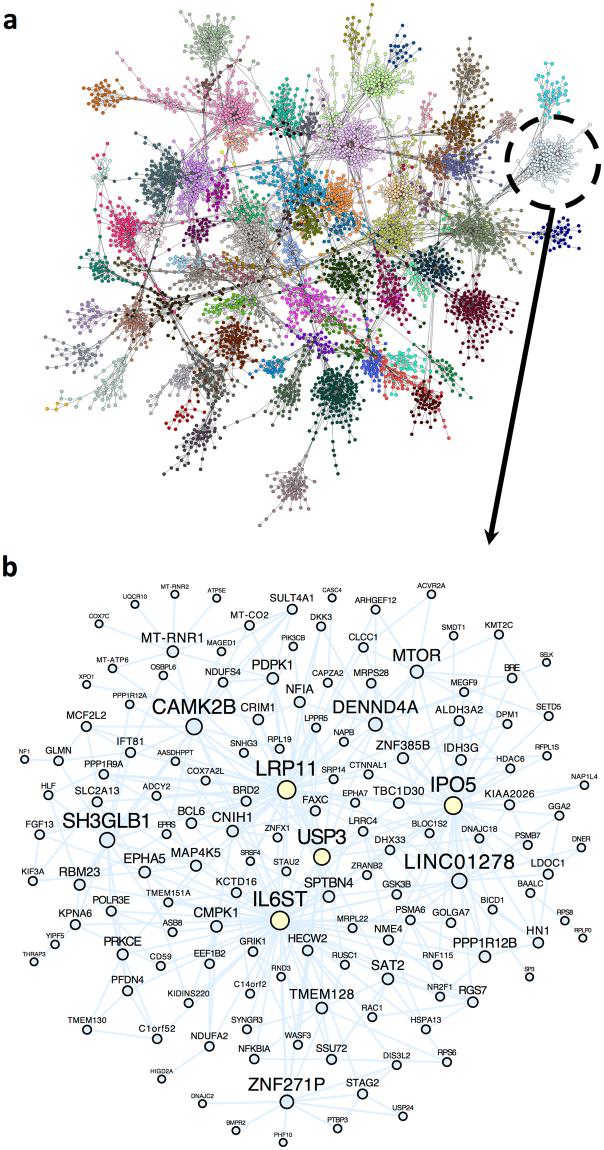 https://cdn.ncbi.nlm.nih.gov/pmc/blobs/6fd5/5995803/73650127362a/41598_2018_27293_Fig8_HTML.jpg