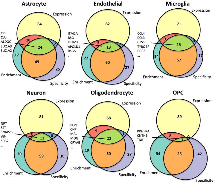 https://cdn.ncbi.nlm.nih.gov/pmc/blobs/6fd5/5995803/fdfbff788951/41598_2018_27293_Fig5_HTML.jpg