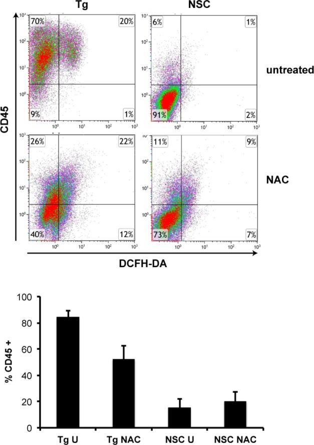https://cdn.ncbi.nlm.nih.gov/pmc/blobs/6fd6/5724866/d26ffd39fe08/pone.0189167.g005.jpg