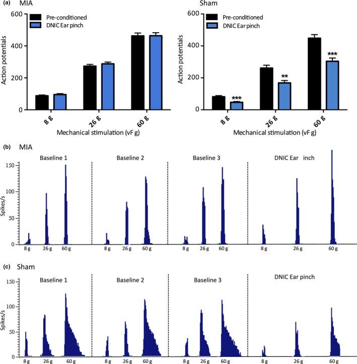 https://cdn.ncbi.nlm.nih.gov/pmc/blobs/6fd7/6618140/68f431cdf264/EJP-23-1185-g001.jpg