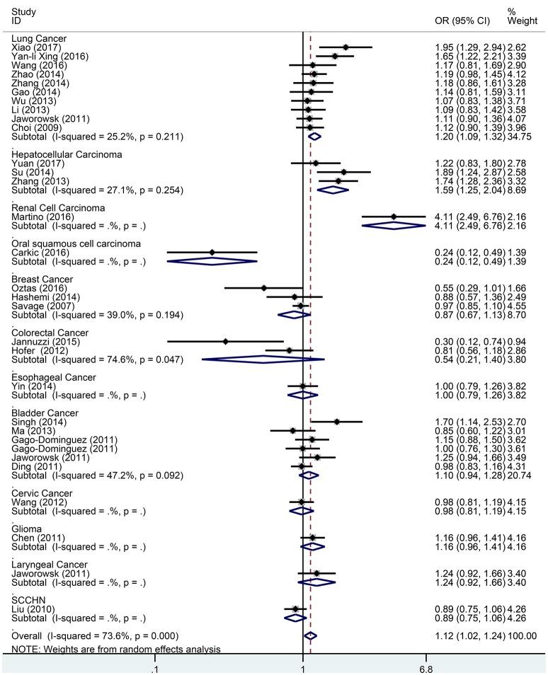 https://cdn.ncbi.nlm.nih.gov/pmc/blobs/6fd8/5905241/e11d15cf9823/fphys-09-00377-g0004.jpg