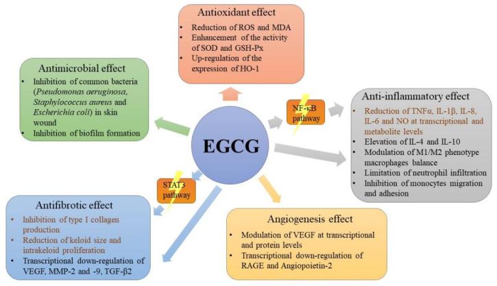 https://cdn.ncbi.nlm.nih.gov/pmc/blobs/6fda/8540743/84e59e779706/molecules-26-06123-g003.jpg