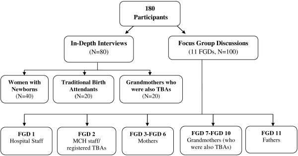 https://cdn.ncbi.nlm.nih.gov/pmc/blobs/6fdb/4049503/379a0d738e4d/1471-2393-14-173-1.jpg