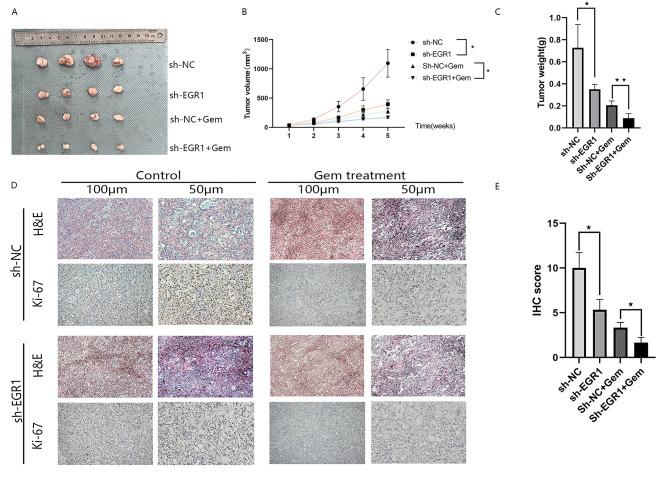 https://cdn.ncbi.nlm.nih.gov/pmc/blobs/6fdc/10895816/80bf3f6308ab/12885_2024_12005_Fig4_HTML.jpg