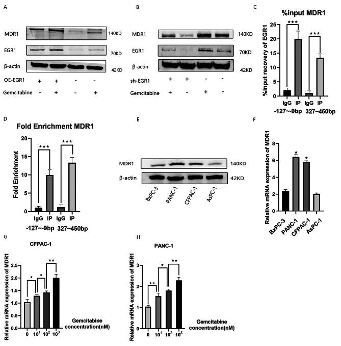 https://cdn.ncbi.nlm.nih.gov/pmc/blobs/6fdc/10895816/889b5bb878c7/12885_2024_12005_Fig2_HTML.jpg
