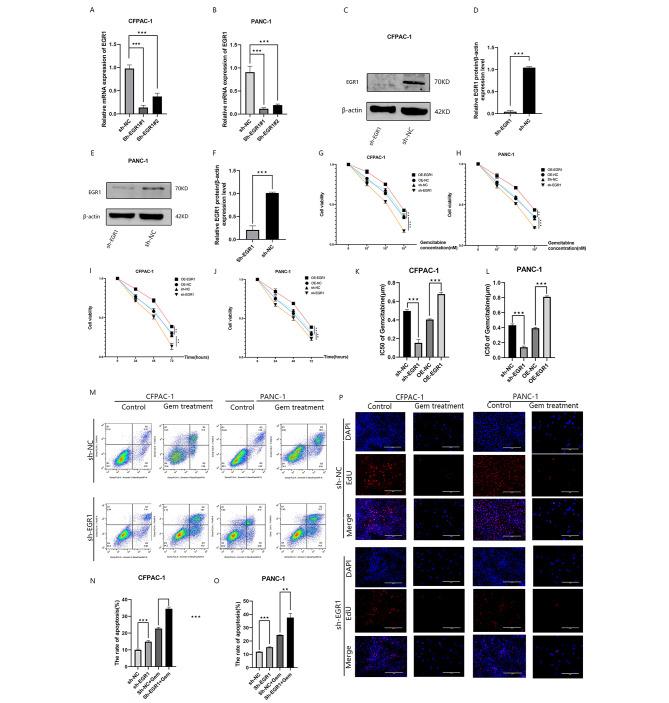 https://cdn.ncbi.nlm.nih.gov/pmc/blobs/6fdc/10895816/c574b4c39900/12885_2024_12005_Fig3_HTML.jpg