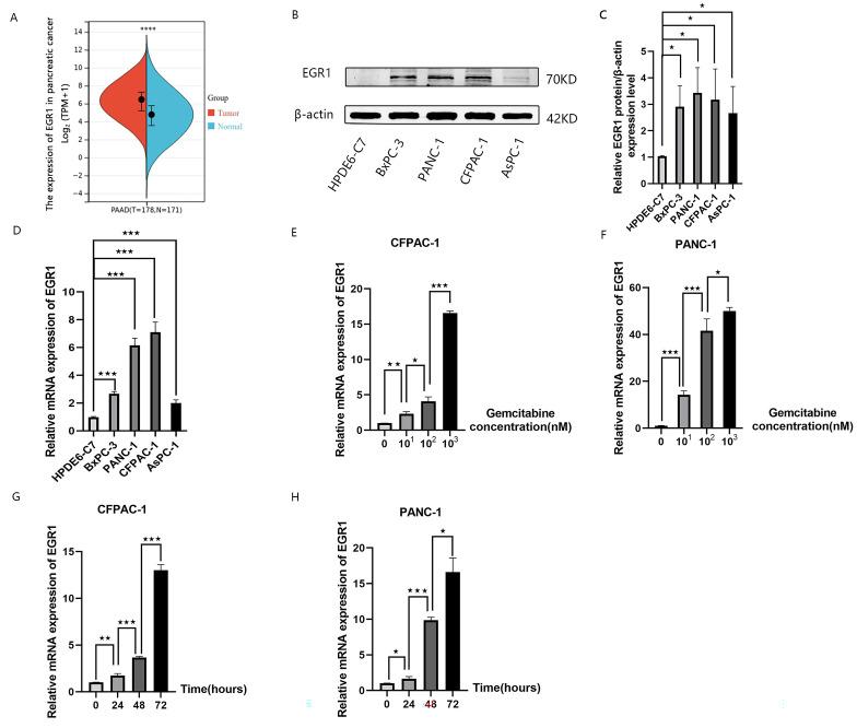 https://cdn.ncbi.nlm.nih.gov/pmc/blobs/6fdc/10895816/c574fd3723b5/12885_2024_12005_Fig1_HTML.jpg
