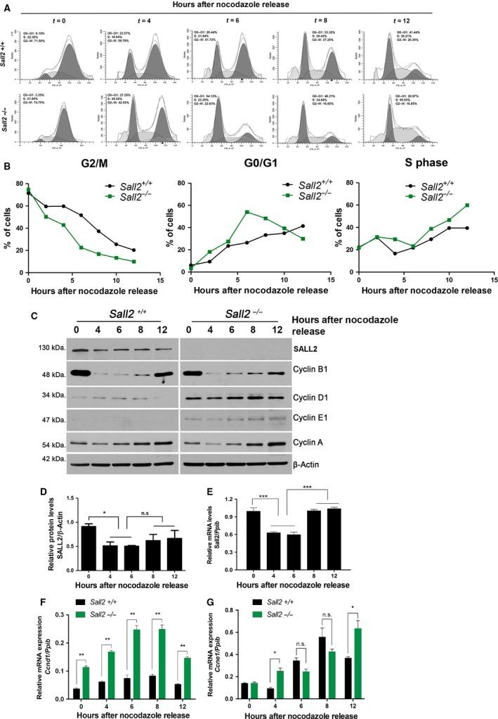 https://cdn.ncbi.nlm.nih.gov/pmc/blobs/6fde/6026872/e316ab7cac1e/MOL2-12-1026-g002.jpg
