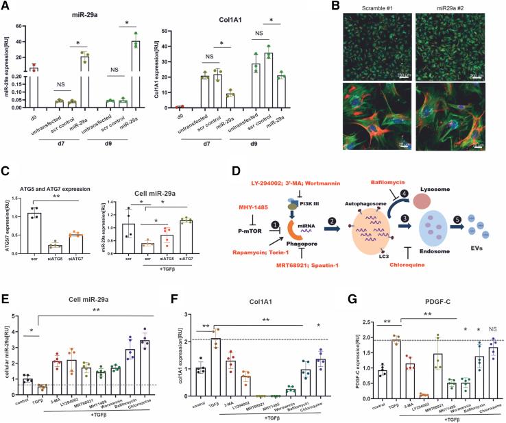 https://cdn.ncbi.nlm.nih.gov/pmc/blobs/6fde/9046234/0d28c04080a1/gr4.jpg