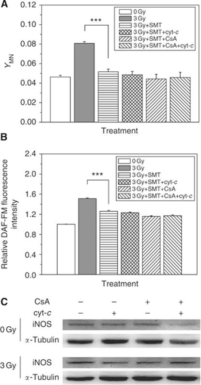 https://cdn.ncbi.nlm.nih.gov/pmc/blobs/6fdf/3305951/342e7bebf9e8/bjc20129f6.jpg