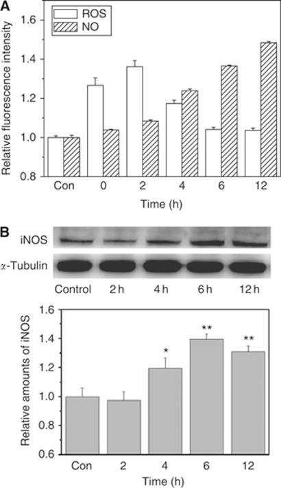 https://cdn.ncbi.nlm.nih.gov/pmc/blobs/6fdf/3305951/cd936f13c740/bjc20129f4.jpg