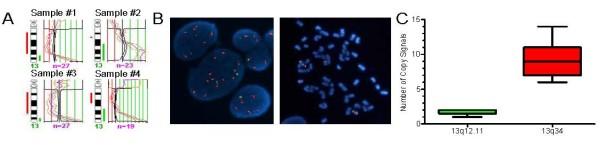 https://cdn.ncbi.nlm.nih.gov/pmc/blobs/6fe0/2815550/347f75a0b0a4/bcr2456-1.jpg