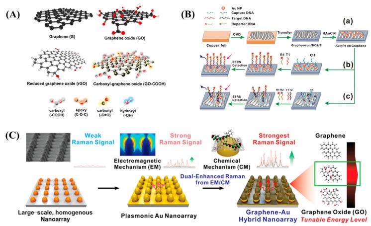 https://cdn.ncbi.nlm.nih.gov/pmc/blobs/6fe1/9855472/f0106fab81dc/biosensors-13-00102-g003.jpg