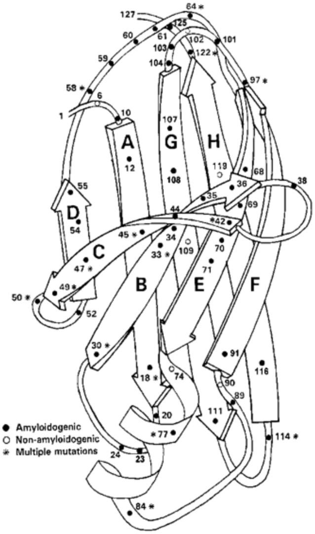 https://cdn.ncbi.nlm.nih.gov/pmc/blobs/6fe2/5350149/33f952204374/fnins-11-00119-g0005.jpg