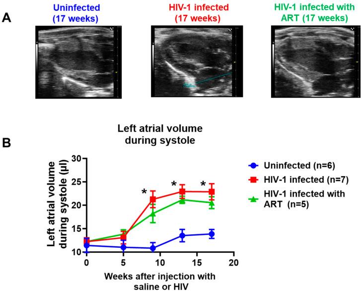 https://cdn.ncbi.nlm.nih.gov/pmc/blobs/6fe3/12027674/abacb4bfda01/ijms-26-03801-g004.jpg